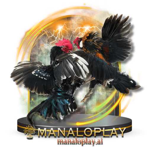 Manaloplay Cockfighting