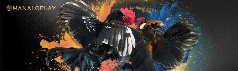 manaloplay cockfight